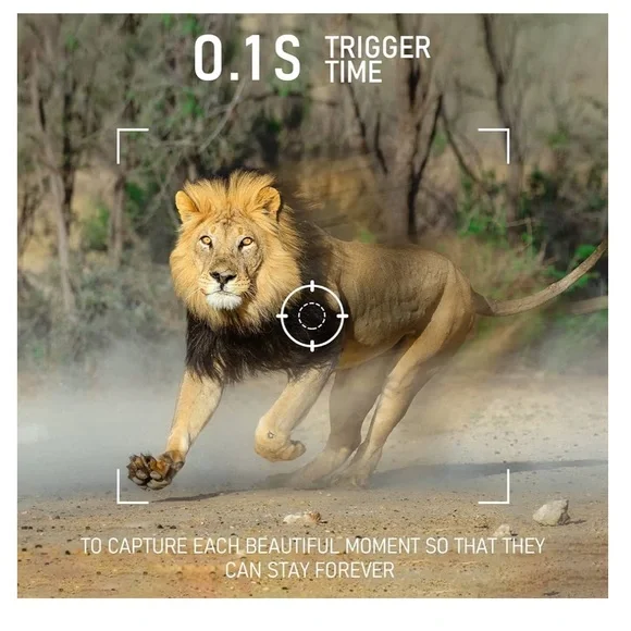 Trail Camera - Picture 13 of 13